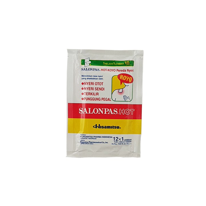 HISAMITSU, Salonpas Hot, 12 Blätter