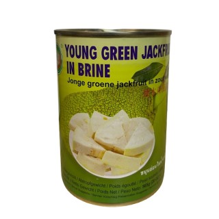 X.O, Young Green Jackfruit in Brine, 565 g